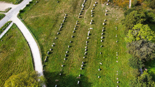 dji fly 20230908 110550 594 1694372517903 photo optimized