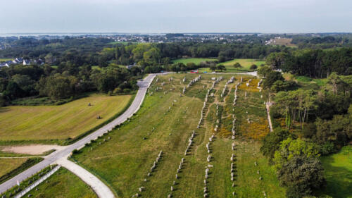 dji fly 20230908 110622 598 1694372513191 photo optimized