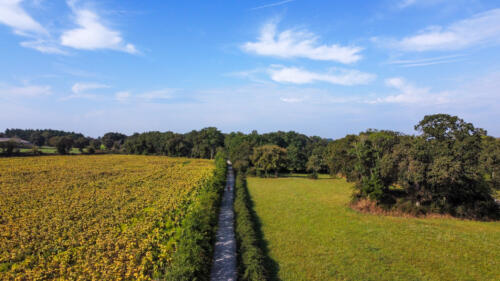 dji fly 20230909 111644 627 1694369220032 photo optimized