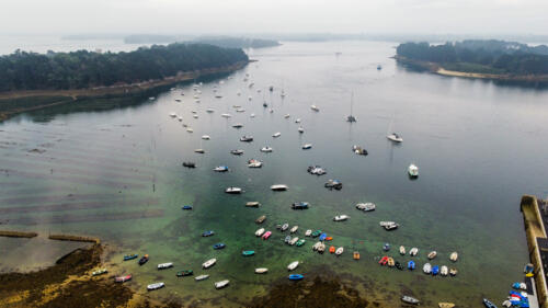 dji fly 20230910 092420 645 1694370054602 photo optimized