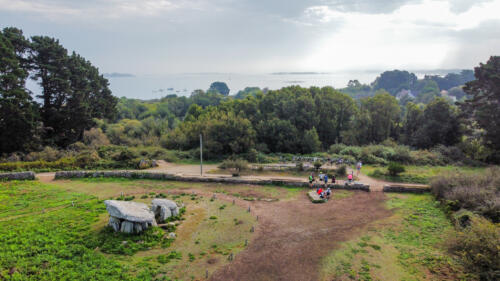 dji fly 20230910 113512 675 1694369224633 photo optimized
